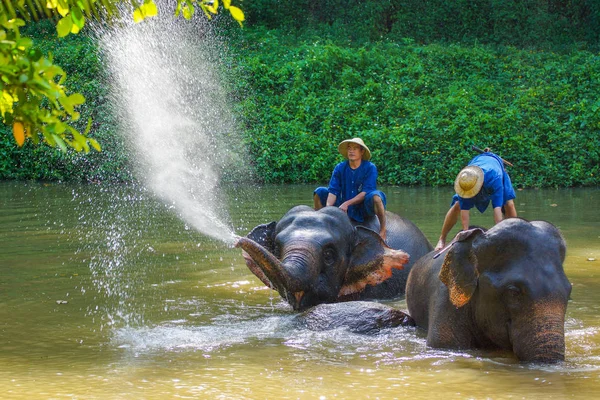 泰国南邦府 2012年11月3日 泰国南邦府国家公园大象营地 Mahout 训练大象 — 图库照片