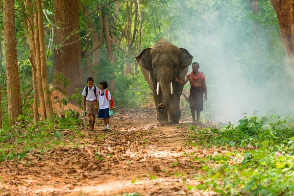 Mahout y estudiantes en uniforme caminando junto con el elefante en —  Fotos de Stock