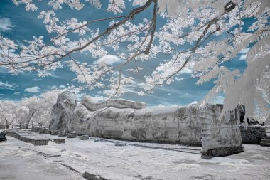 Kızılötesi ile uzanan Kadim Buda ResmiName