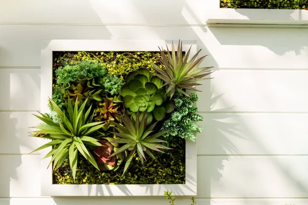 Bir şekilde dekore edilmiş duvar dikey Bahçe, arka plan.