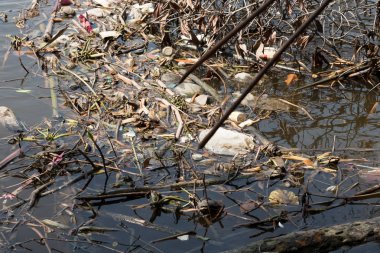 Çevre kirliliği sorunu.