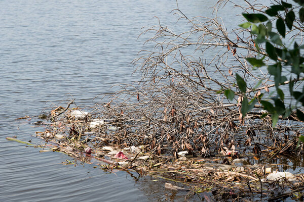 Загрязнение окружающей среды
.