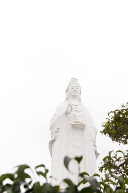 Güzel beyaz Guanyin Bodhisattva.