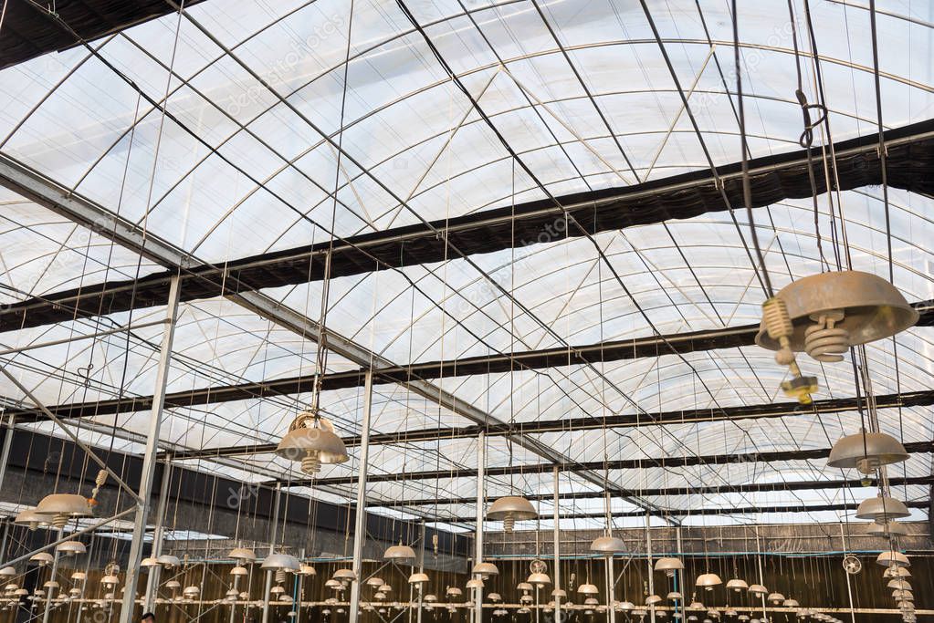 Lighting and watering system in a big greenhouse.