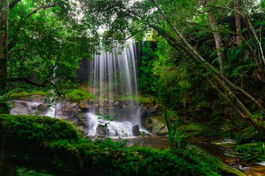 Tum Yani-ne de şelale.