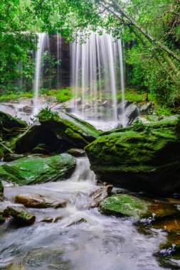 Tum Yani-ne de şelale.