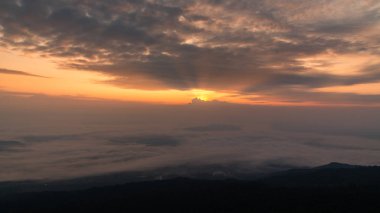 Bush ile güzel manzara siluet görünümü.