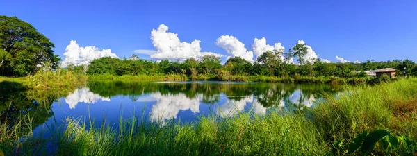 Lac bleu clair dans une forêt . — Photo