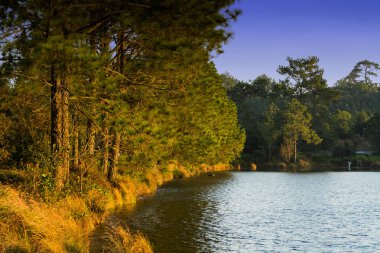 Pine Ridge bitişik Gölü.