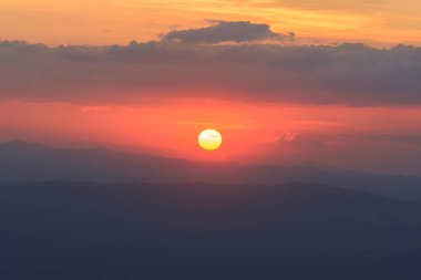 Lithoophytic orkide bağlı.