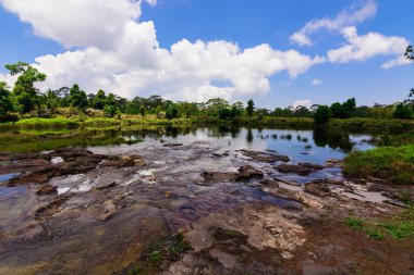 Bir ormandaki açık mavi göl.