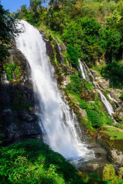 Yeşil tropikal orman şelale.