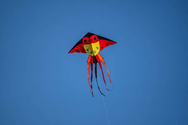 kite on the blue sky.