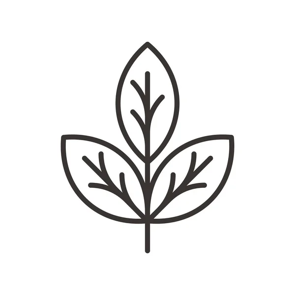 Folhas na ilustração do ícone do ramo — Vetor de Stock