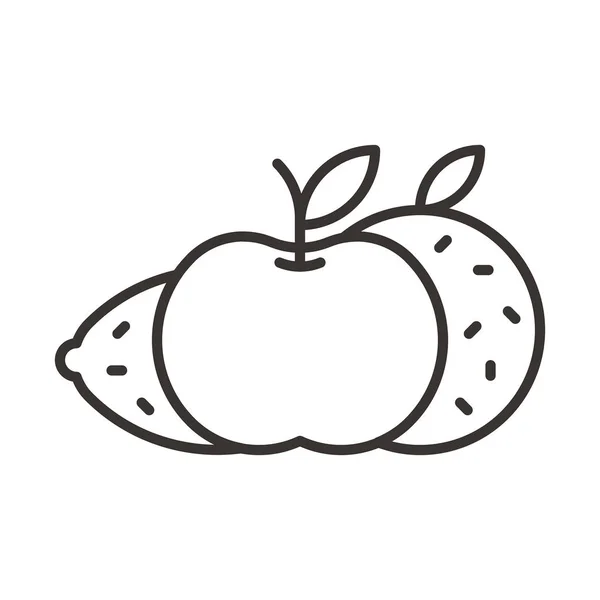 Ícone de frutas ilustração —  Vetores de Stock