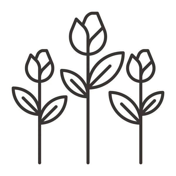 Ilustração do ícone das tulipas — Vetor de Stock