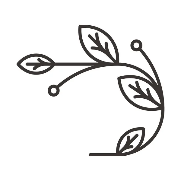 Feuilles sur l'icône des branches — Image vectorielle