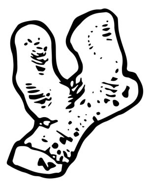 Zencefil web simgesi