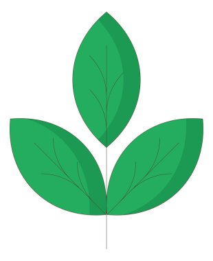 Şube simgesi yapraklarda