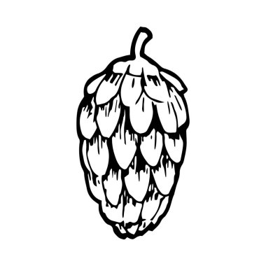 Elle çizilmiş çam kozalağı