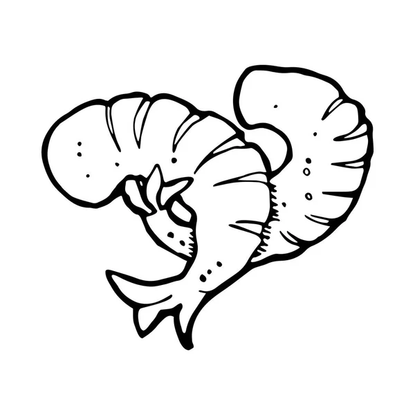 İki karides çizimler