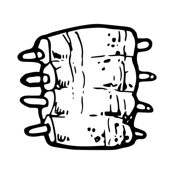 Côtes grillées dessinées à la main — Image vectorielle