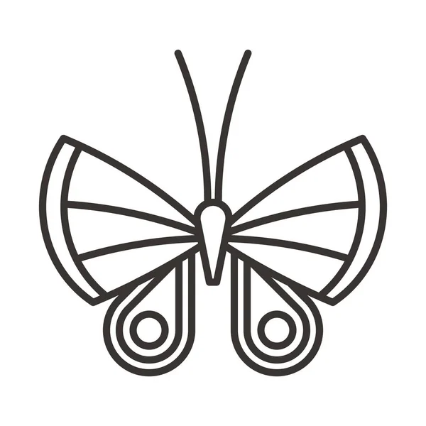 Pillangó pókháló ikon — Stock Vector