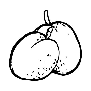 Kayısı siyah beyaz simgesi