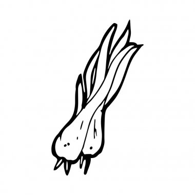 Siyah ve beyaz soğan simgesi