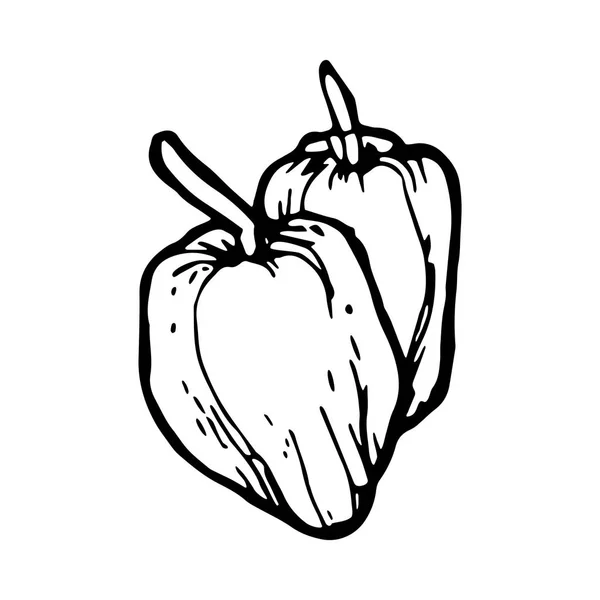 Poivron icône noir et blanc — Image vectorielle