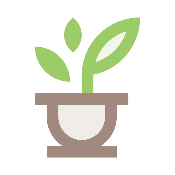 Planta Verde Vaso Ilustração Vetorial Minimalista Branco —  Vetores de Stock