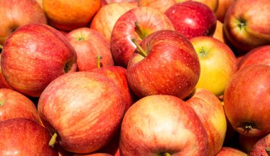 Kırmızı elma Satılık
