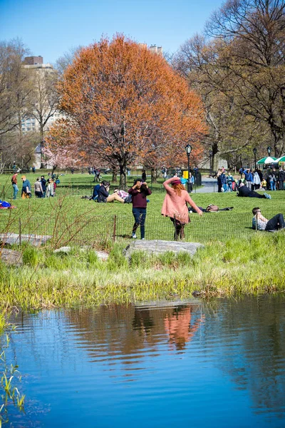 Central Park, Manhattan. — Photo