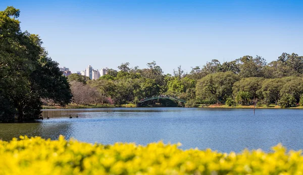 巴西圣保罗Ibirapuera公园 — 图库照片