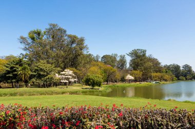 Ibirapuera Parkı, Sao Paulo