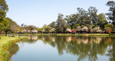 Ibirapuera Parkı, Sao Paulo