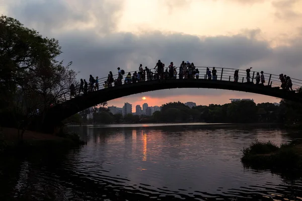 Ibirapuera göl üzerinde köprü.