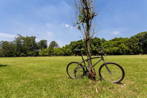 Vélo verrouillé dans le parc — Photo