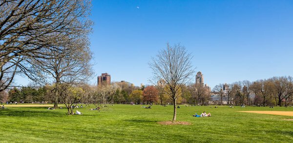 People resting in Central Park on a sunny day.