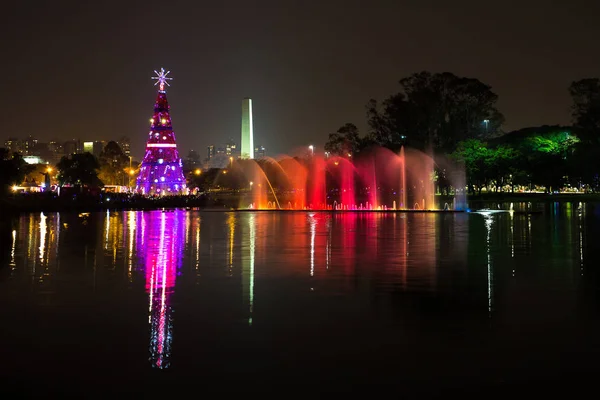 巴西圣保罗Ibirapuera公园. — 图库照片