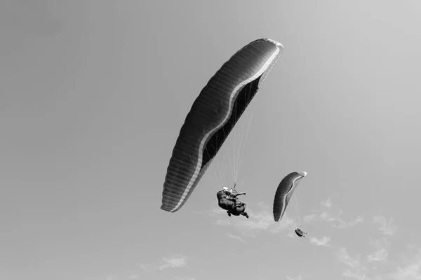 Paragliders flying over the city of Santos and Sao Vicente, Braz — Stock Photo, Image