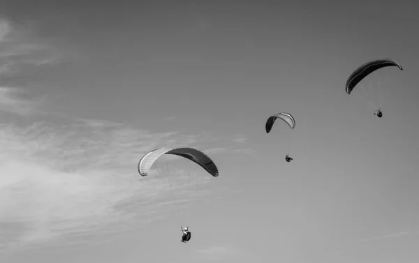 Paragliders flying over the city of Santos and Sao Vicente, Braz — Stock Photo, Image