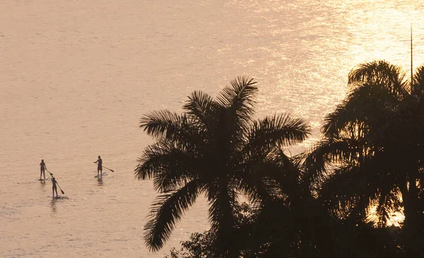 Мужчина Две Женщины Встают Весло Время Тропического Заката — стоковое фото