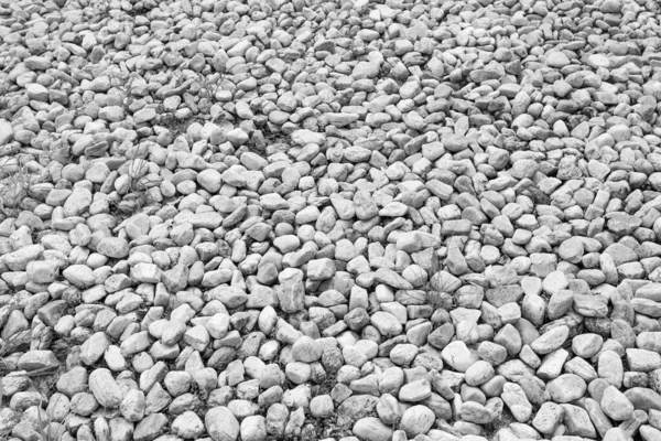 Background of river stones in garden in black and white.
