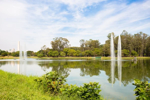 巴西圣保罗Ibirapuera公园的喷泉 — 图库照片