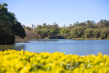 Ibirapuera Park, Sao Paulo, Brezilya göllerinden birinin kısmi manzarası.