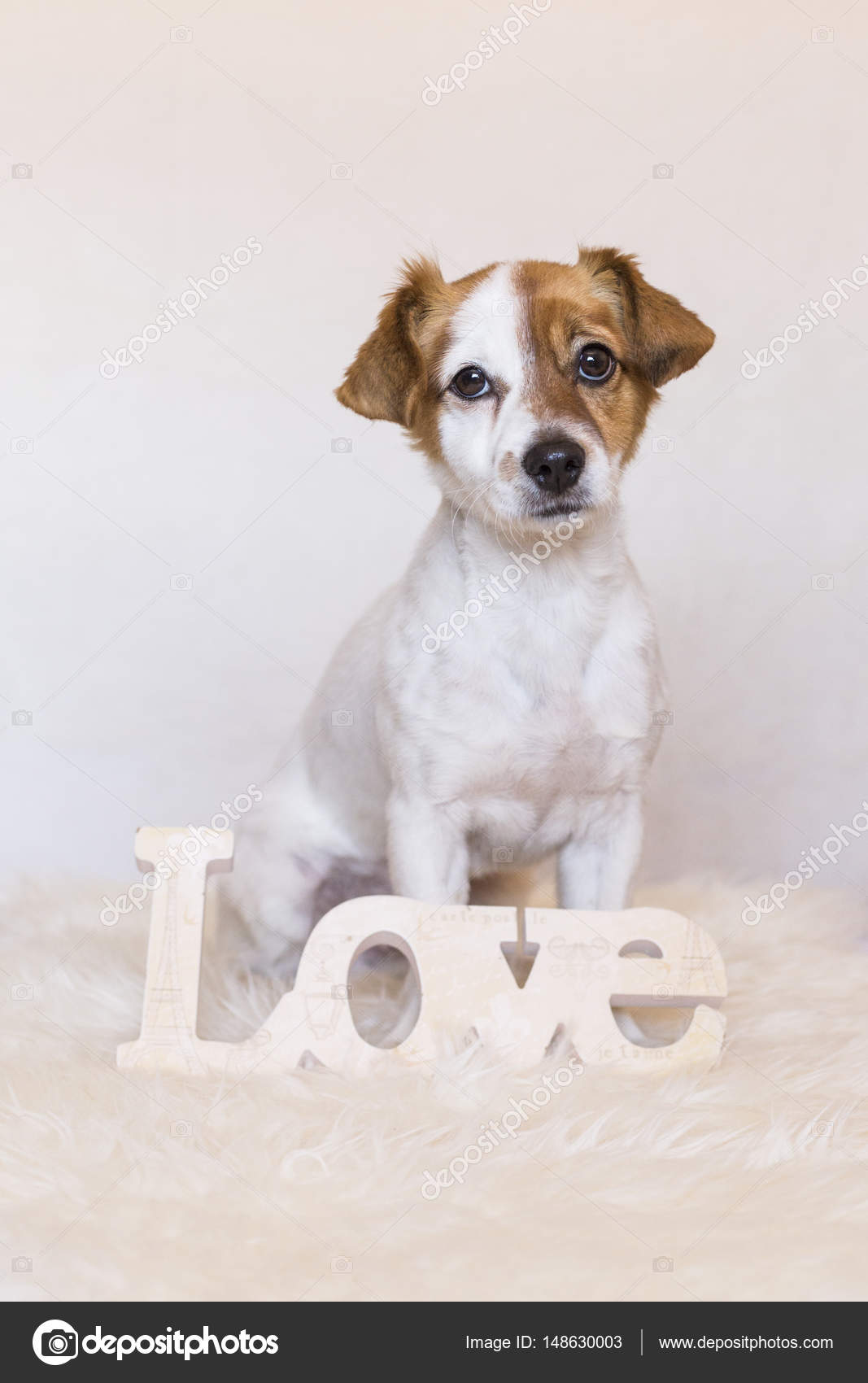 [PUNIQRANDLINE-(au-dating-names.txt) 68 Recherch photo amour avec chien [PUNIQRANDLINE-(au-dating-names.txt) 63