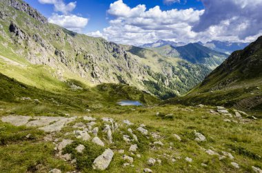 Yaz aylarında Alps görünümü