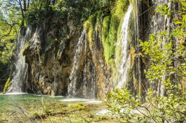 Plitvice Gölleri Park'ta şelale