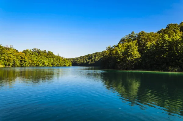Harika ağaç yansıma Plitvice Gölleri Park